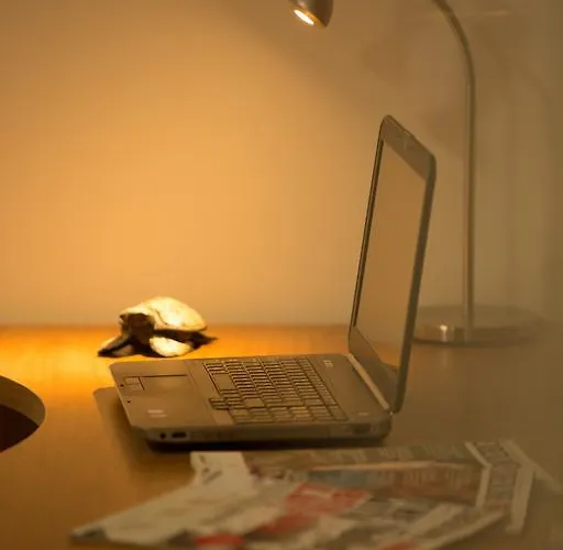 Artistic לינה וארוחת בוקר 3*