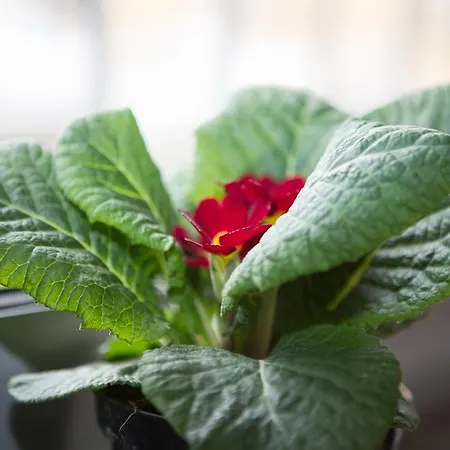 Artistic Couette-café 3*