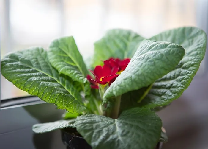 Artistic Bed & Breakfast 3*